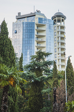 ������-����������� �������� (����, �� ����)